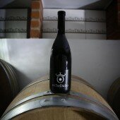 vinos bio pedro olivares (14)
