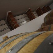 vinos bio pedro olivares (2)