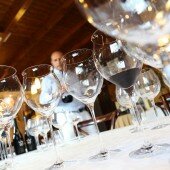 vinos bio pedro olivares (23)