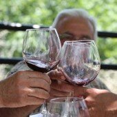 vinos bio pedro olivares (25)