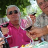 vinos bio pedro olivares (26)