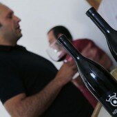 vinos bio pedro olivares (27)