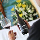 vinos bio pedro olivares (28)