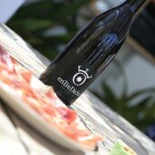 vinos bio pedro olivares (30)