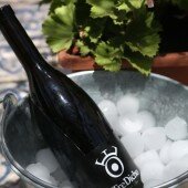 vinos bio pedro olivares (31)