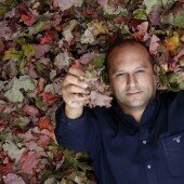 vinos bio pedro olivares (40)