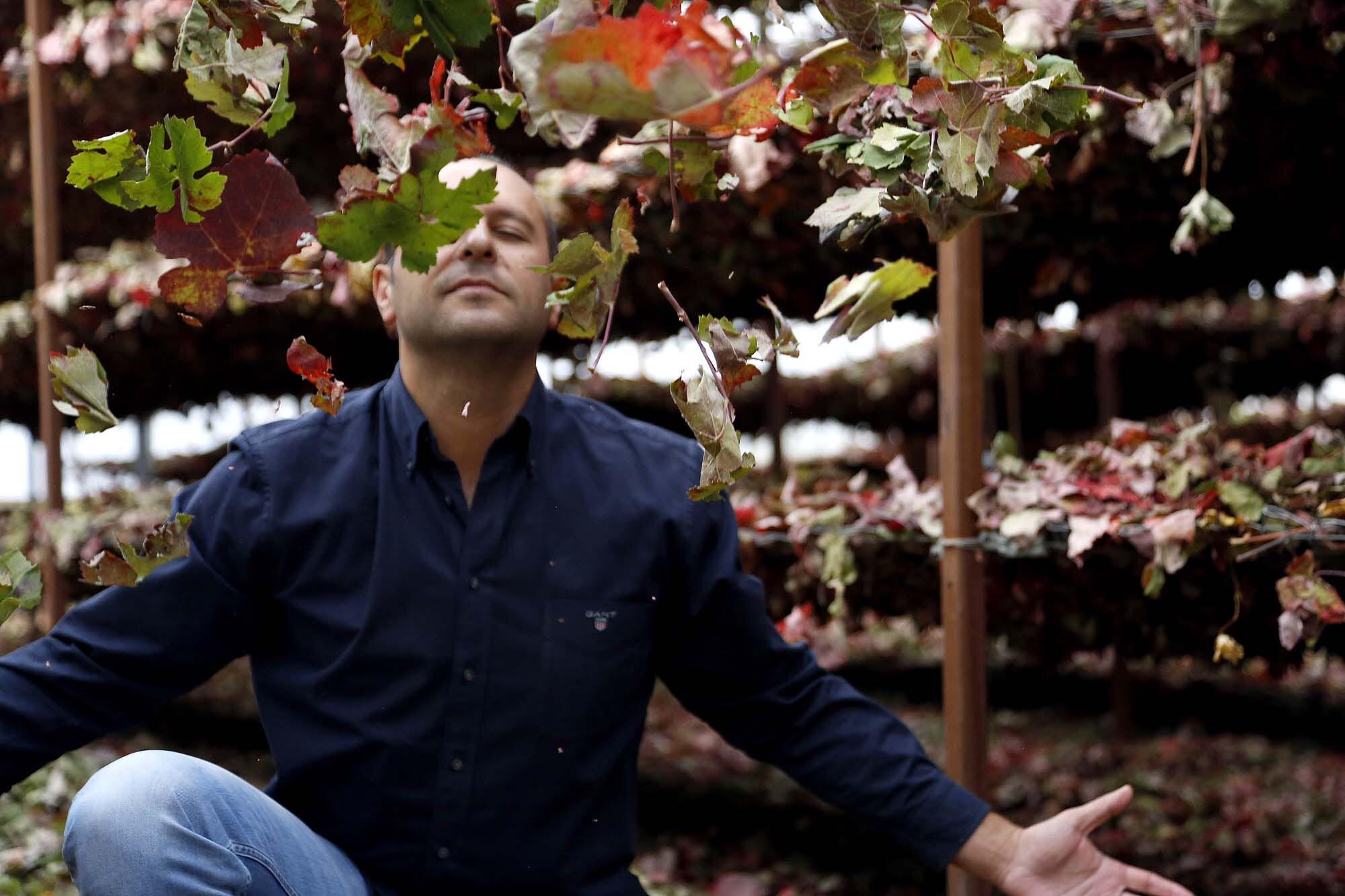 vinos bio pedro olivares (43)