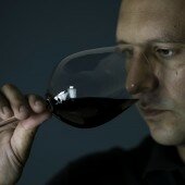 vinos bio pedro olivares (49)