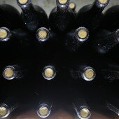 vinos bio pedro olivares (13)